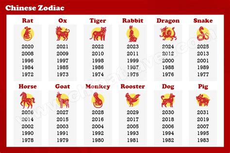 十三生肖|Chinese Zodiac: 2025 Year of Snake, 12 Animal Signs, Calculator